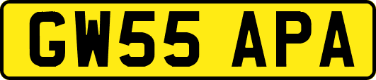 GW55APA