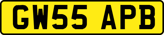 GW55APB