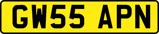 GW55APN