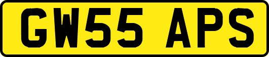 GW55APS