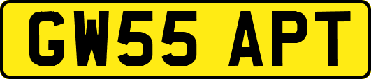 GW55APT