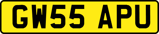 GW55APU