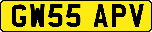 GW55APV
