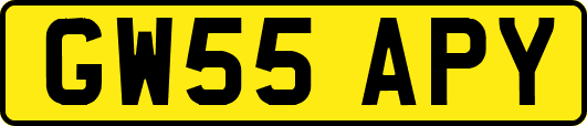 GW55APY