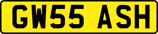 GW55ASH