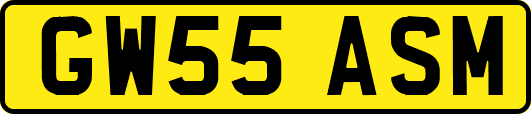 GW55ASM