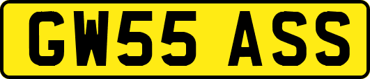 GW55ASS