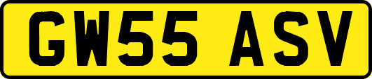GW55ASV