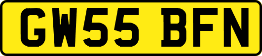 GW55BFN