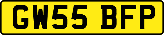 GW55BFP