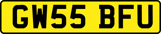 GW55BFU