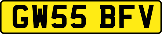 GW55BFV