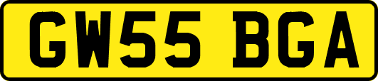 GW55BGA