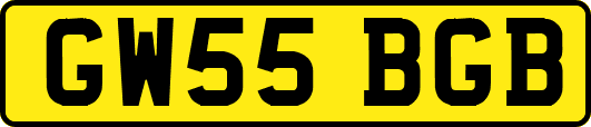 GW55BGB
