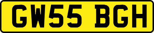 GW55BGH