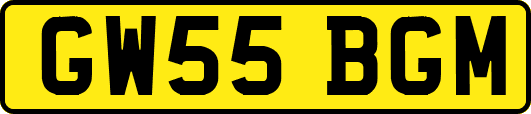 GW55BGM