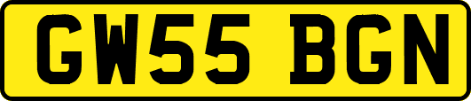 GW55BGN