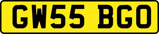 GW55BGO
