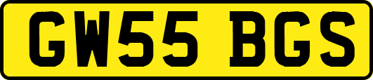 GW55BGS