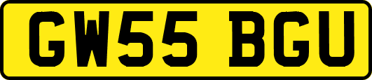 GW55BGU