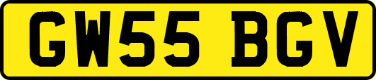 GW55BGV