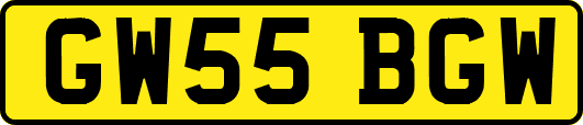 GW55BGW