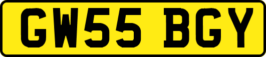 GW55BGY
