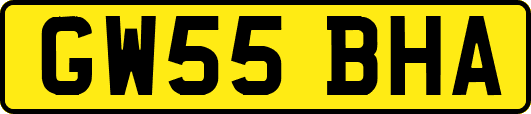 GW55BHA
