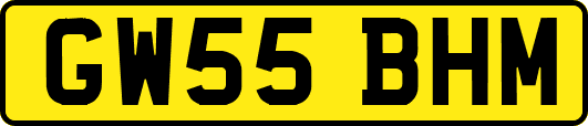 GW55BHM