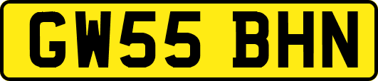 GW55BHN