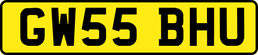 GW55BHU