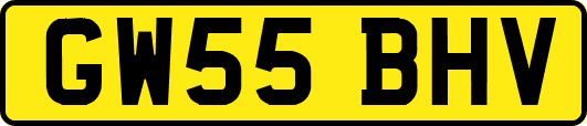 GW55BHV