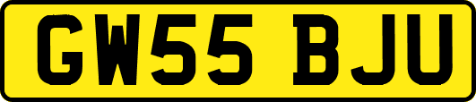 GW55BJU