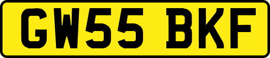 GW55BKF