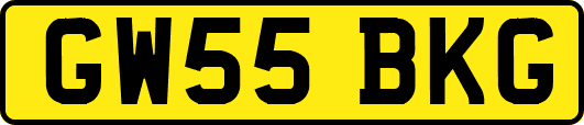 GW55BKG