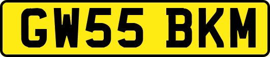 GW55BKM