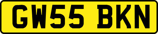 GW55BKN