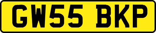 GW55BKP