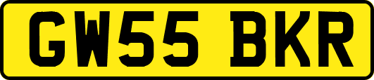 GW55BKR