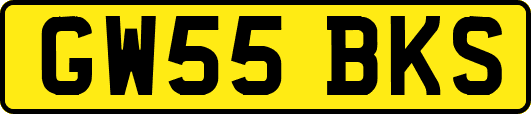GW55BKS