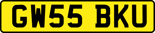 GW55BKU