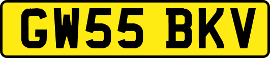 GW55BKV