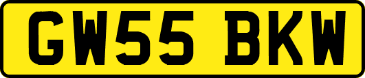 GW55BKW