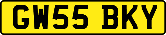 GW55BKY