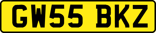 GW55BKZ