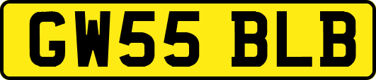 GW55BLB
