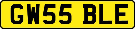 GW55BLE