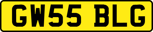 GW55BLG
