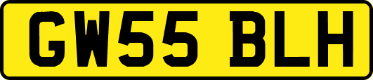 GW55BLH