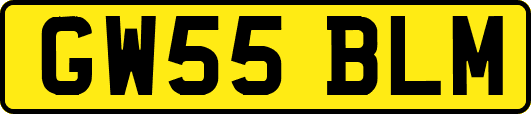 GW55BLM